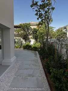 IMG_0836